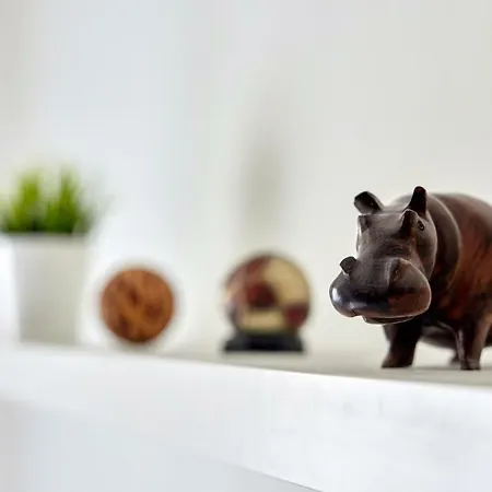 公寓 Pikachu's Gallery - Historical Old Town 布拉迪斯拉发