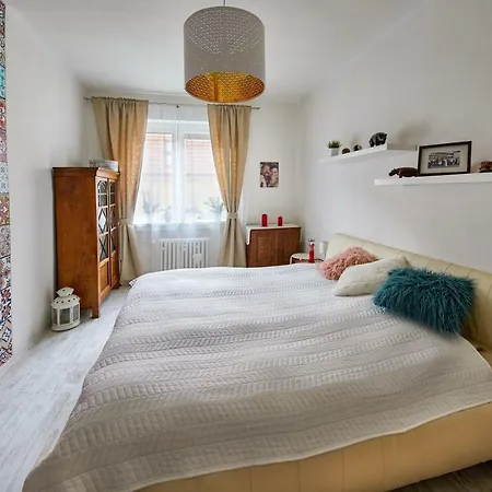 Pikachu's Gallery - Historical Old Town 公寓 *