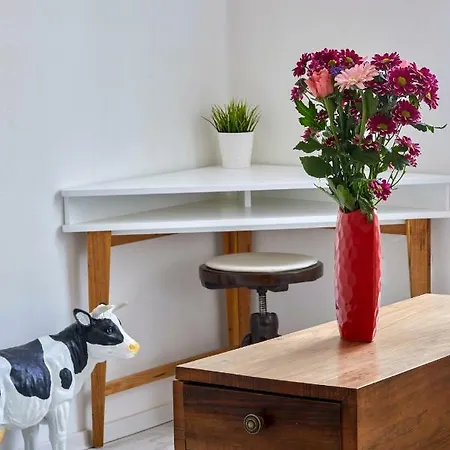 Apartmán Pikachu's Gallery - Historical Old Town Bratislava