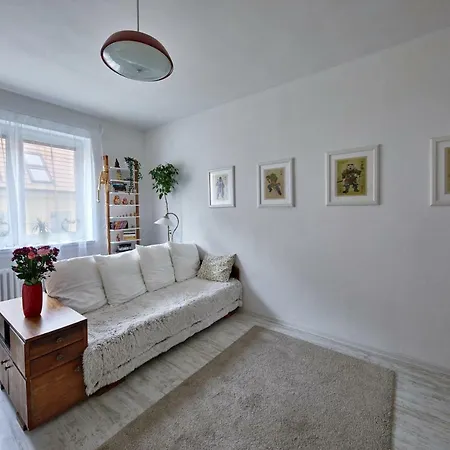 Pikachu's Gallery - Historical Old Town Bratislava